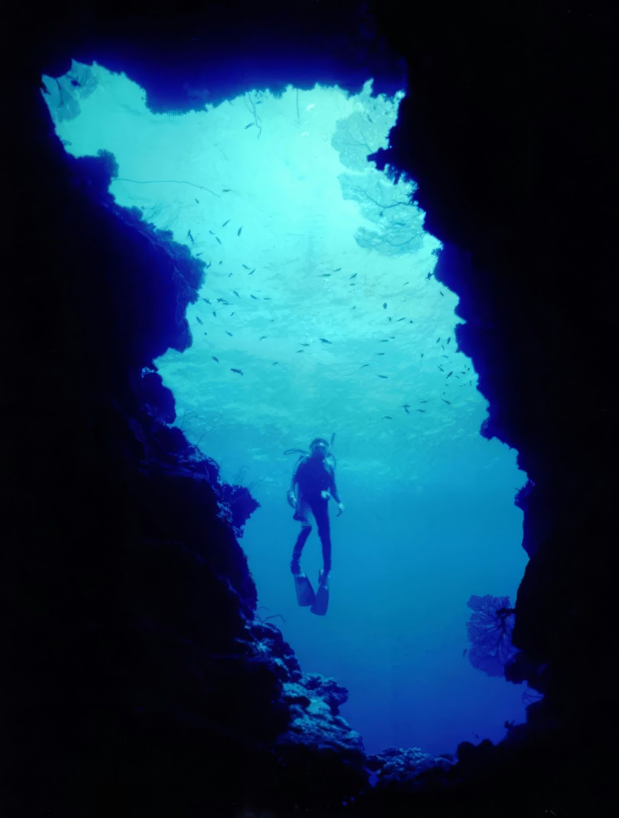 Il futuro della subacquea: proteggere i nostri oceani attraverso il turismo sostenibile