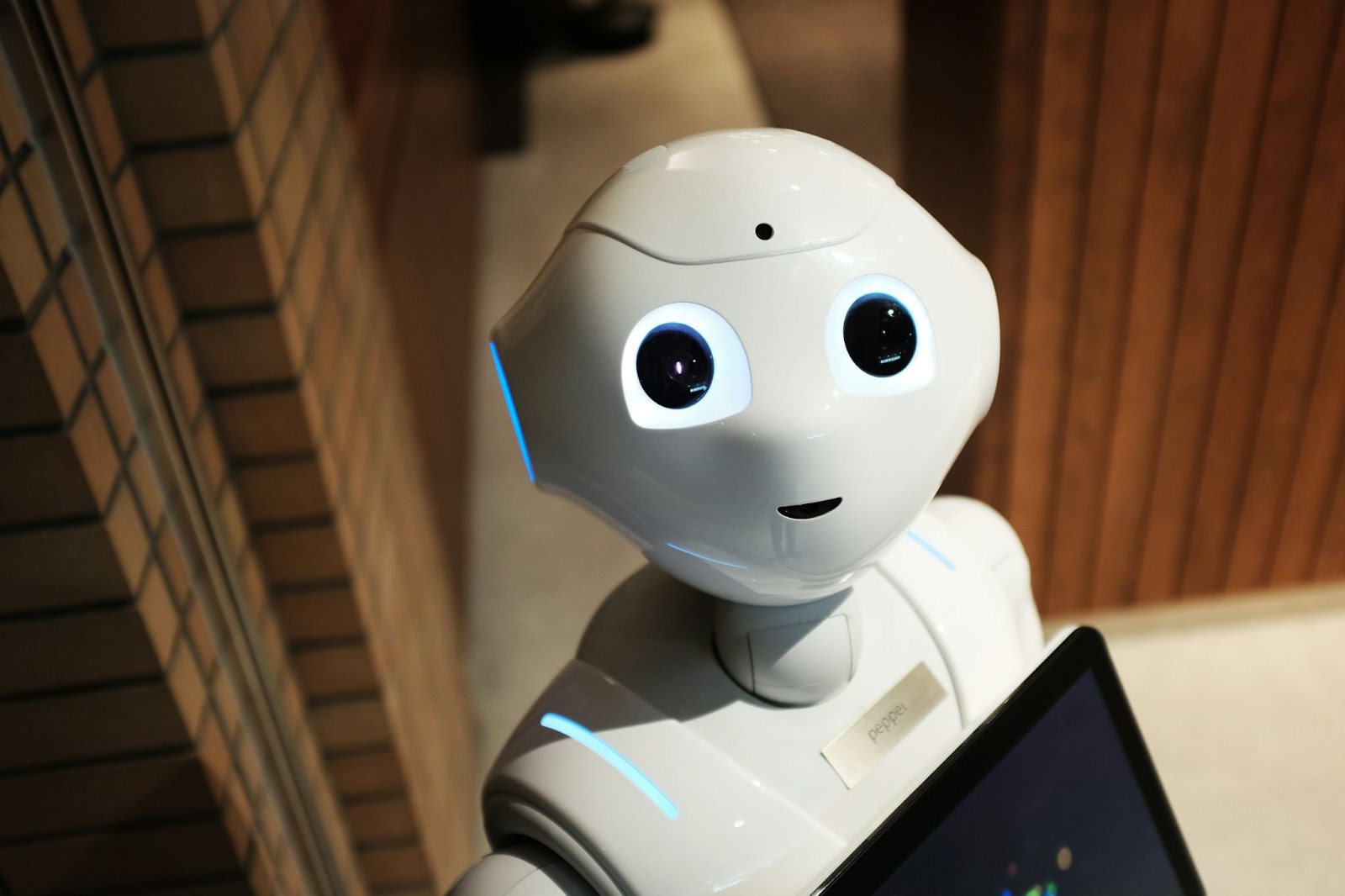 Come l'intelligenza artificiale e i chatbot stanno rivoluzionando i centri immersioni e la gestione degli sport acquatici