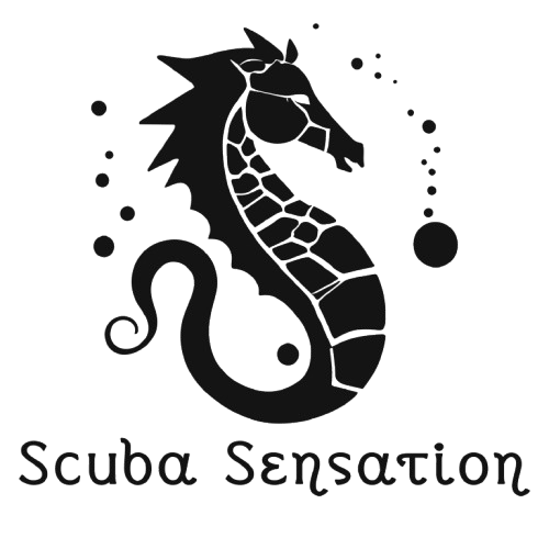Scuba Sensation
