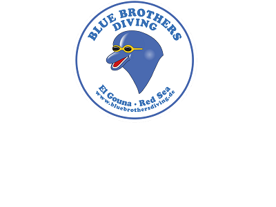 Blue Brothers Diving-4