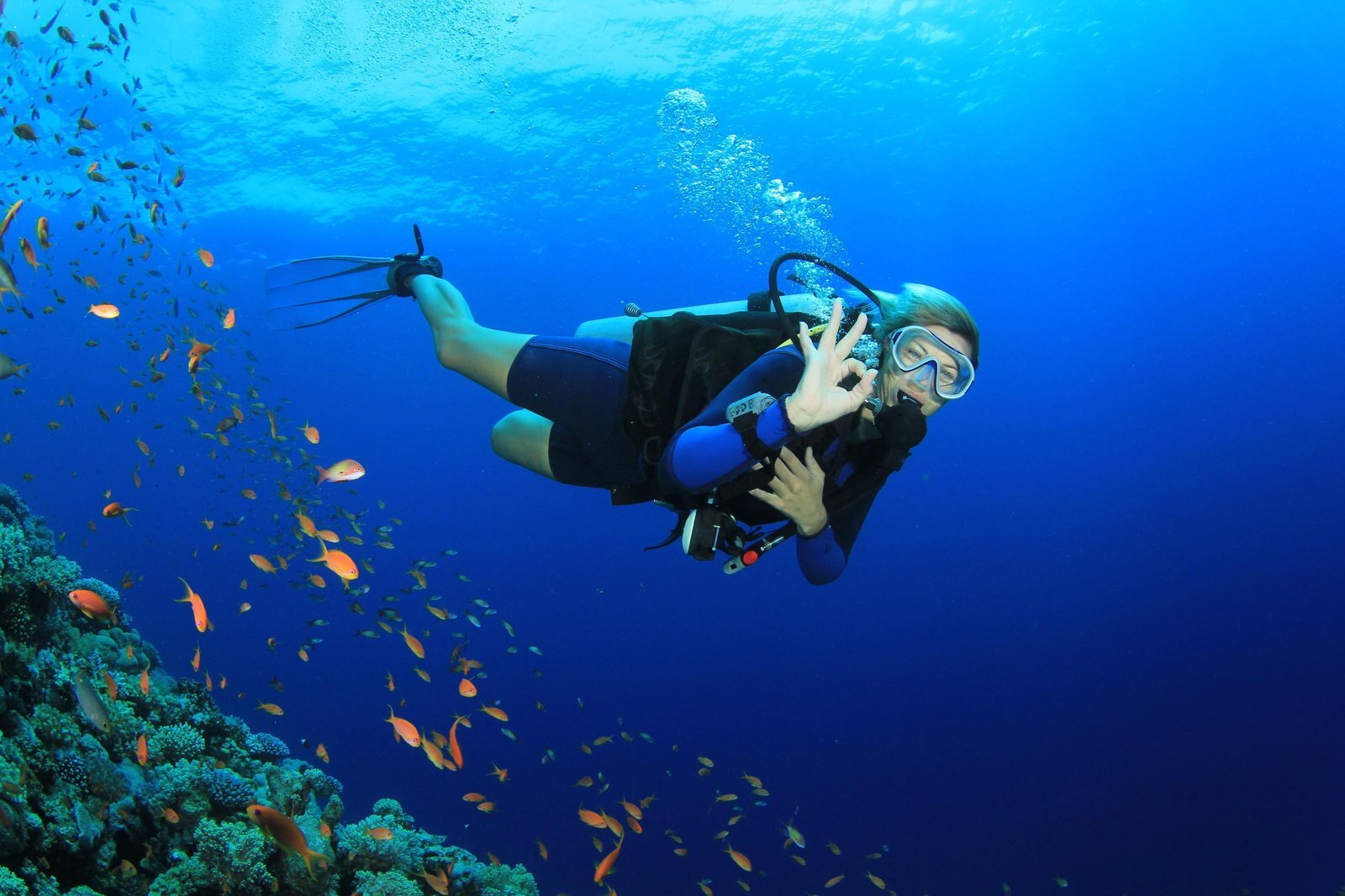 Un subacqueo fa il segnale OK accanto a una parete di reef ricca di pesci arancioni nell’acqua limpida al largo di Creta