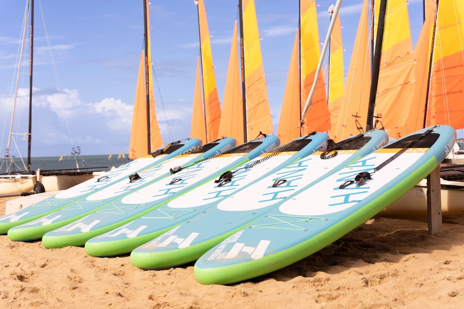 Fila di tavole da paddle surf Yagga allineate sulla sabbia, con vele di catamarano sullo sfondo